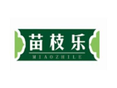 苗枝乐MIAOZHILE