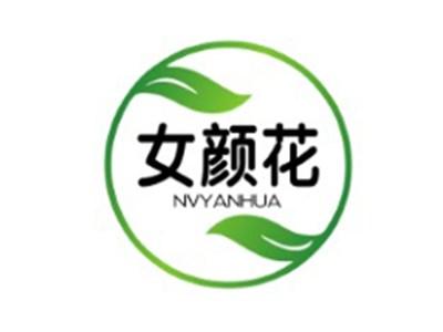 女颜花NVYANHUA