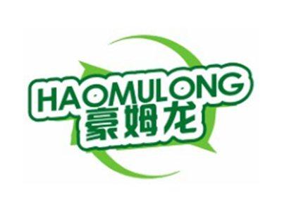 豪姆龙HAOMULONG9 12 21类同名