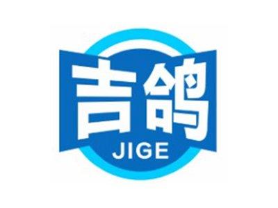 吉鸽JIGE18 21类同名