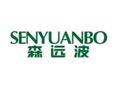森远波+拼音