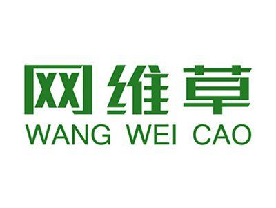 网维草+拼音