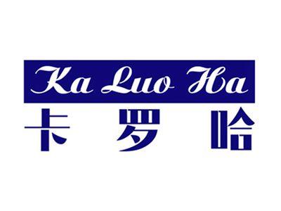 卡罗哈+拼音