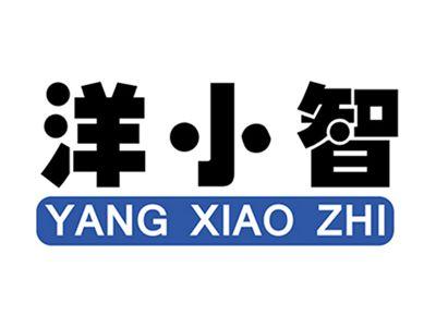洋小智+拼音