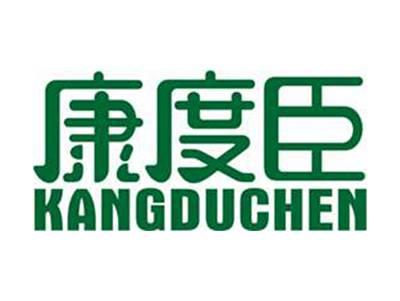 康度臣+拼音
