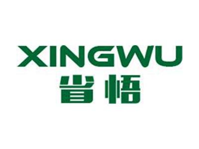 省悟+拼音