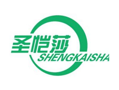 圣恺莎+拼音