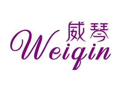 威琴+拼音