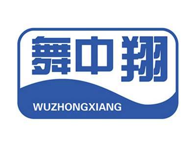 舞中翔+拼音