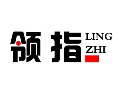 领指+拼音