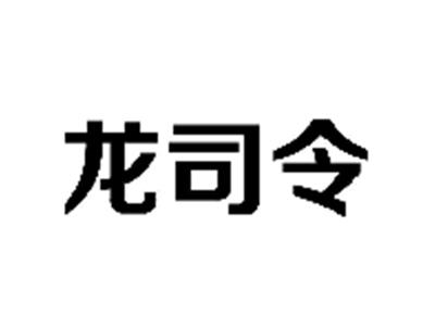 龙司令