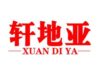 轩地亚+拼音