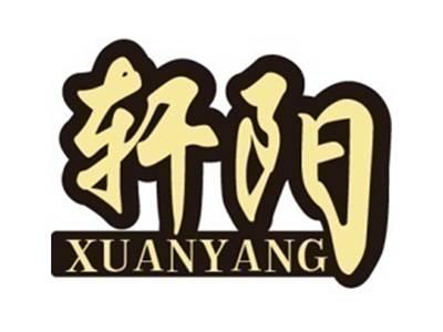 轩阳+拼音