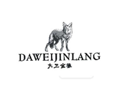 大卫金狼