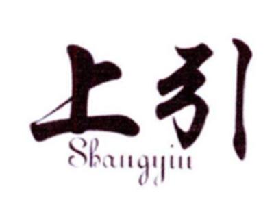 上引