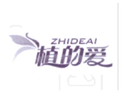 值的爱