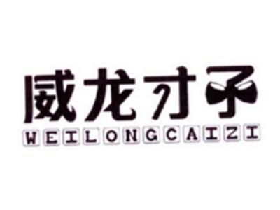 威龙才子