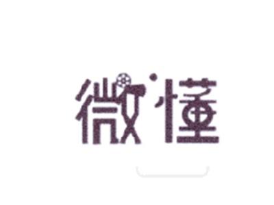 微懂