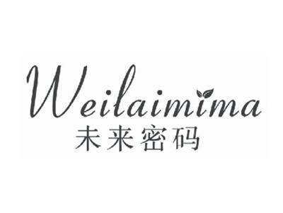 未来密码