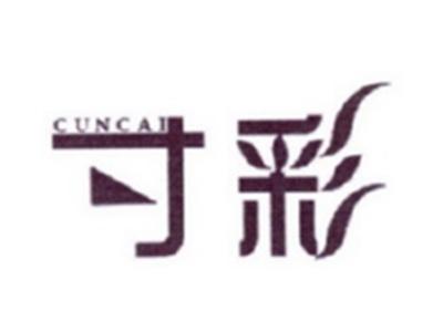 寸彩