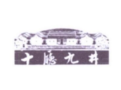 十厅九井