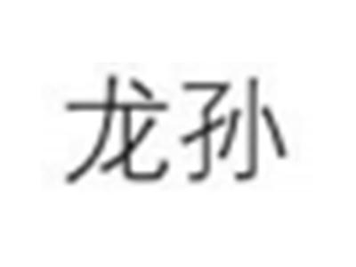 龙孙