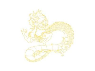 龙图形