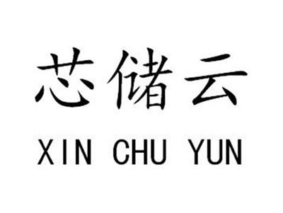 芯储云