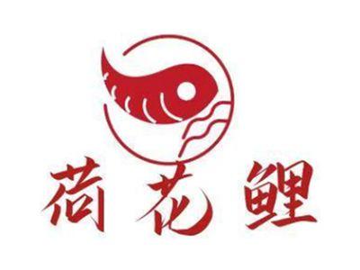 荷花鲤
