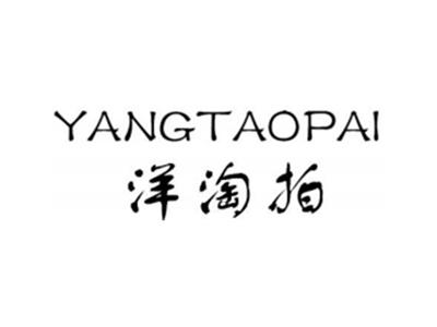 洋淘拍