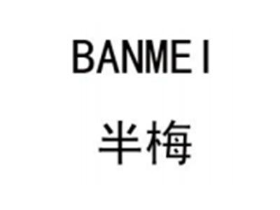 半梅