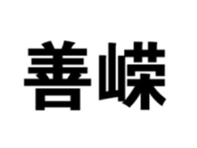善嵘