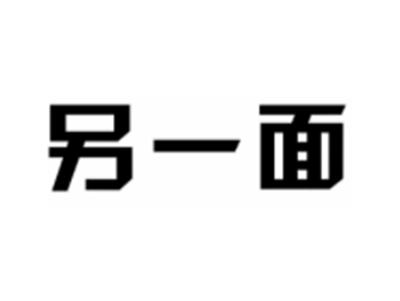 另一面
