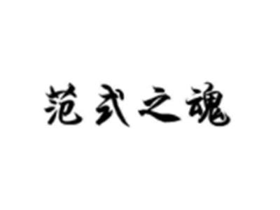 范式之魂