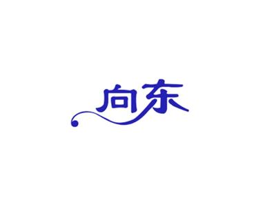 向东