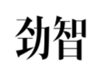 劲智