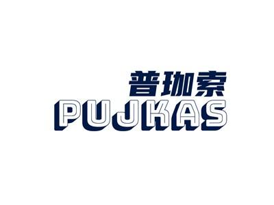 普珈索PUJKAS