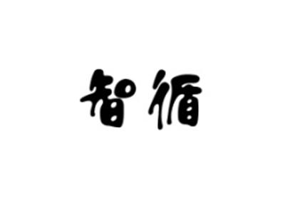 智循