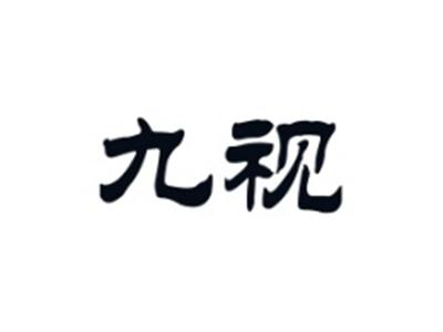 九视