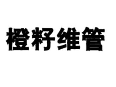 橙籽维管