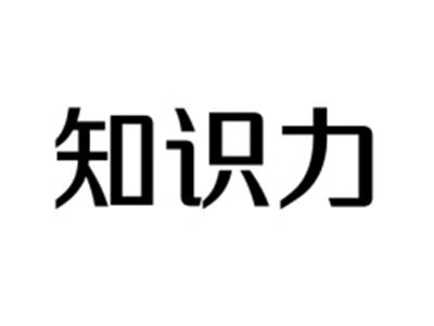 知识力