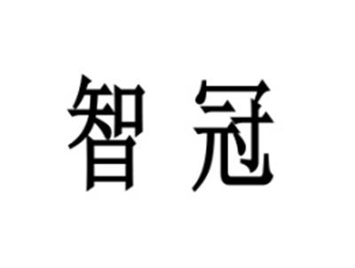 智冠