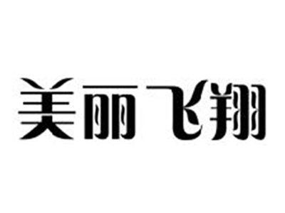 美丽飞翔