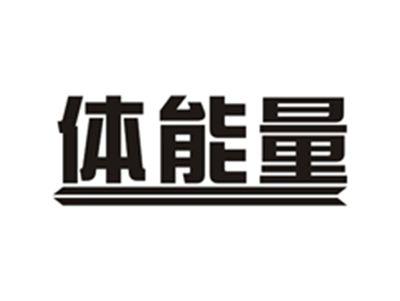 体能量