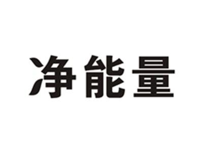 净能量