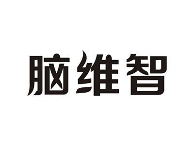 脑维智