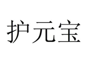 护元宝