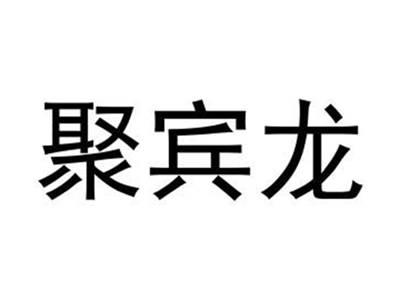 聚宾龙