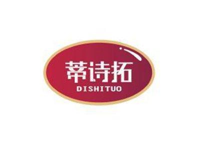 蒂诗拓DISHITUO+图形