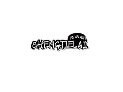 圣洁莱SHENGJIELAI+图形
